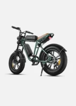 engwe m20 1000w (Μέγιστο) 47 Μίλια + 47 Μίλια Διπλή Ανάρτηση, Μεγάλης εμβέλειας, Ηλεκτρικό Ποδήλατο